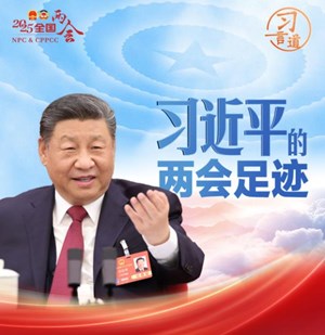 习言道丨习近平的两会足迹