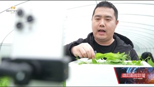 广汉：“电商+”赋能 村集体经济迎来“开门红”