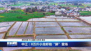 中江：8万斤小龙虾抢“鲜”登场