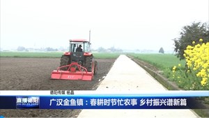 广汉金鱼镇：春耕时节忙农事 乡村振兴谱新篇