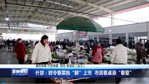 什邡：时令春菜抢“鲜”上市  市民餐桌添“春意”