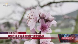 春有约 花不误 来德阳赴一场春日约会