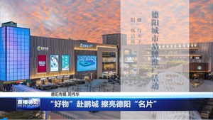 “好物”赴鹏城 擦亮德阳“名片”