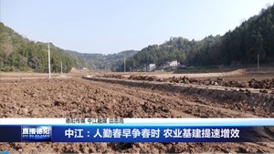 中江：人勤春早争春时 农业基建提速增效