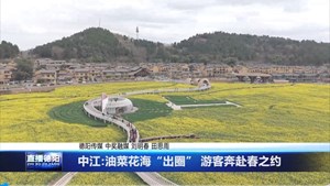 中江:油菜花海“出圈” 游客奔赴春之约