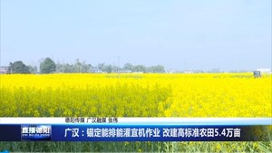 广汉：锚定能排能灌宜机作业 改建高标准农田5.4万亩