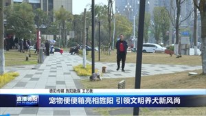 宠物便便箱亮相旌阳 引领文明养犬新风尚