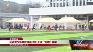 全省青少年竞技绿茵 旌阳上演“足够”精彩