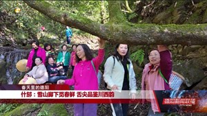 什邡：雪山脚下觅春鲜 舌尖品鉴川西韵