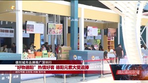 德阳城市品牌推广深圳行