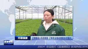 2025年3月29日直播德阳