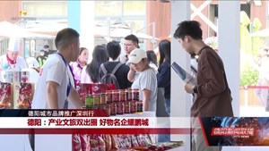 德阳城市品牌推广深圳行   德阳：产业文旅双出圈 好物名企耀鹏城