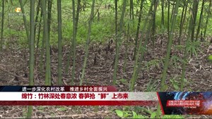 进一步深化农村改革  推进乡村全面振兴：广汉、绵竹