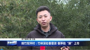 绵竹双坪村：竹林深处春意浓 春笋抢“鲜”上市