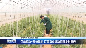 订单驱动 科技赋能 订单农业链动旌阳乡村振兴