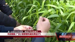进一步深化农村改革  推进乡村全面振兴