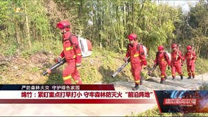绵竹：紧盯重点打早打小 守牢森林防灭火“前沿阵地”