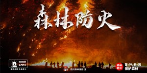 森林草原灭火公益宣传