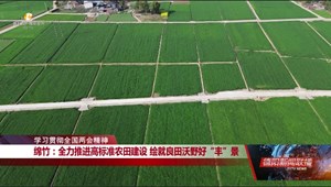 绵竹：全力推进高标准农田建设 绘就良田沃野好“丰”景