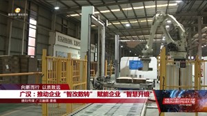 广汉：推动企业“智改数转” 赋能企业“智慧升级”