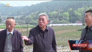 何明俊赴中江县辑庆镇开展乡村振兴联系帮扶工作时强调 巩固拓展脱贫攻坚成果 有力有效推动乡村全面振兴