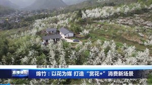 绵竹：以花为媒 打造“赏花+”消费新场景