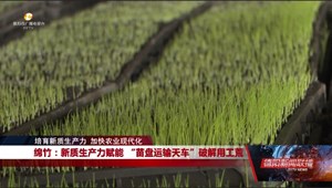 绵竹：新质生产力赋能 “苗盘运输天车”破解用工荒
