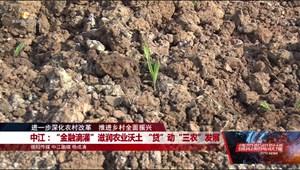 中江：“金融滴灌”滋润农业沃土 “贷”动“三农”发展