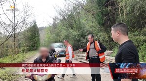 坚决打击非法捕猎 两男子刚入禁区即落网