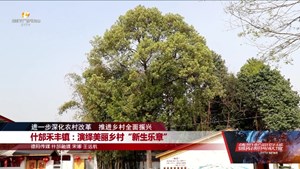 什邡禾丰镇：演绎美丽乡村“新生乐章”