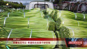 进一步深化农村改革  推进乡村全面振兴：什邡、广汉