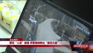 爱花“人设”崩塌 民警循线揪出“偷花大盗”