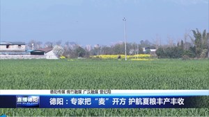 德阳：专家把“麦”开方 护航夏粮丰产丰收