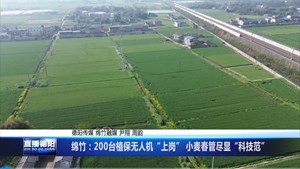 绵竹：200台植保无人机“上岗” 小麦春管尽显“科技范”