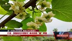 进一步深化农村改革 推进乡村全面振兴：什邡、广汉