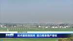 技术服务到田间  助力粮食稳产增收