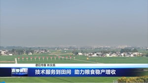 技术服务到田间  助力粮食稳产增收