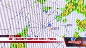 德阳：部分区域大风蓝色预警 市民出行注意防风