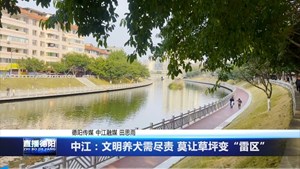 中江：文明养犬需尽责 莫让草坪变“雷区”