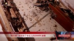 德阳：又到白蚁分飞期 科学防治勿松懈
