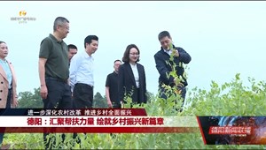 德阳：汇聚帮扶力量 绘就乡村振兴新篇章