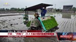 什邡：“开秧门” 25.4 万亩水稻织就春种新图景