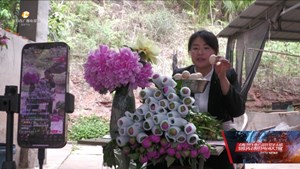 中江“90后”女支书带货出圈 拓宽共富路