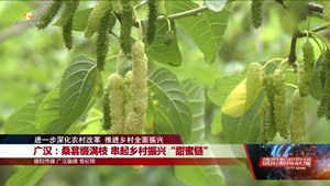 进一步深化农村改革  推进乡村全面振兴：什邡、广汉