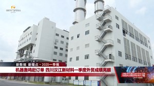 新数据 新看点•2025一季报