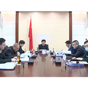市政府召开党组（扩大）会议