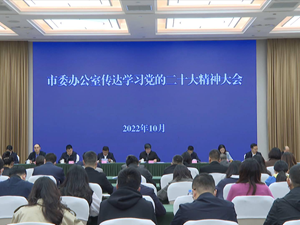 学习贯彻党的二十大精神｜市委办公室：走在前作表率 以实干实绩实效交出优异答卷