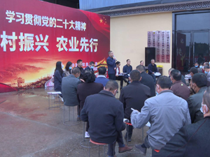 学习贯彻党的二十大精神 | 中江：为乡村振兴赋能 端牢“中国饭碗”