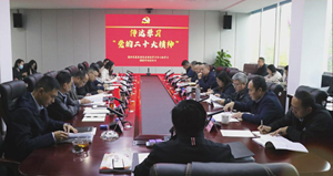 德阳发集团党委专题学习“党的二十大精神”