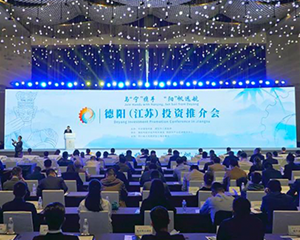 与“宁”携手 “阳”帆远航 德阳（江苏）投资推介会举行